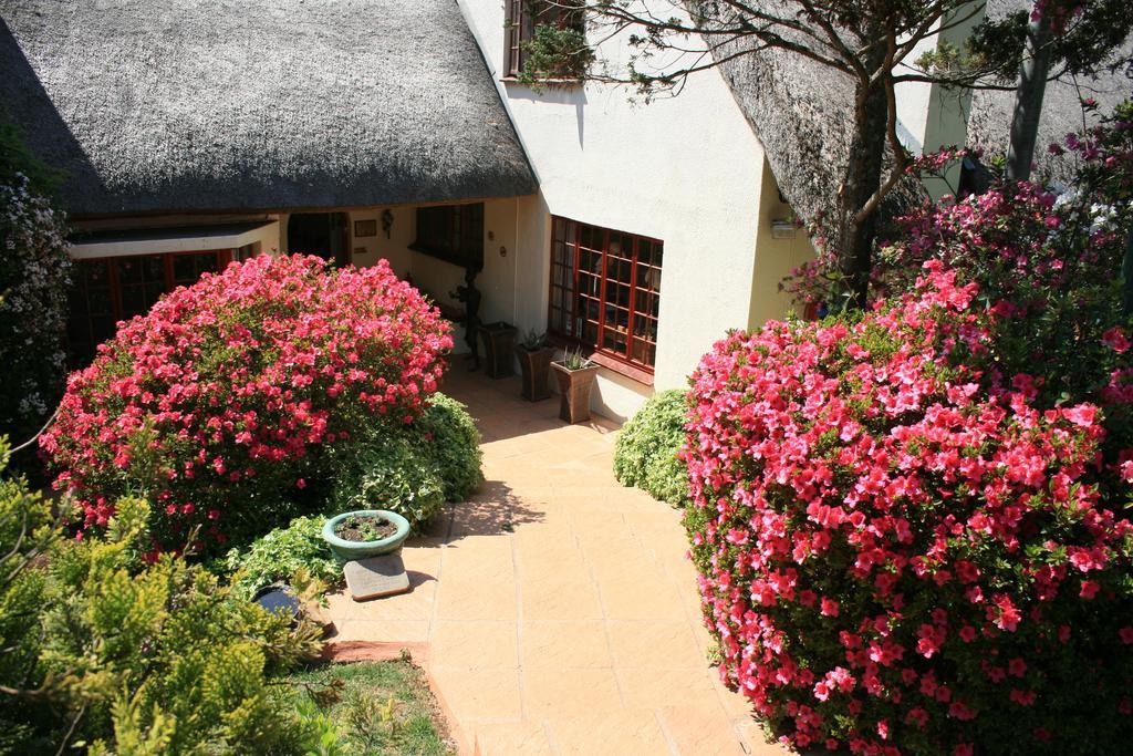 Thatchings Bed And Breakfast Nottingham Road Ngoại thất bức ảnh